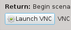 launch_vnc_button.png